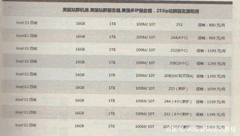 站群程序出售：构建网络营销新高度